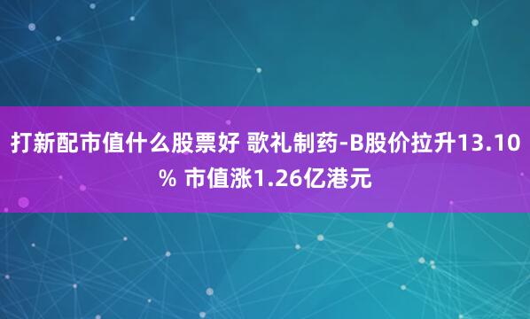 打新配市值什么股票好 歌礼制药-B股价拉升13.10% 市值涨1.26亿港元