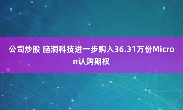 公司炒股 脑洞科技进一步购入36.31万份Micron认购期权