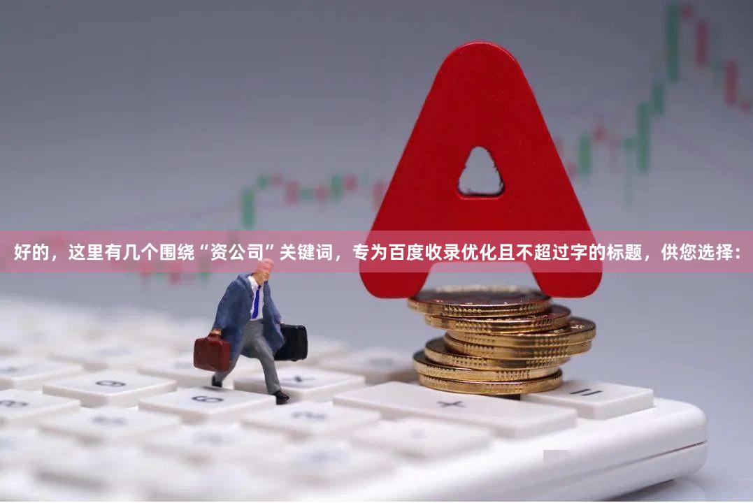 好的，这里有几个围绕“资公司”关键词，专为百度收录优化且不超过字的标题，供您选择：